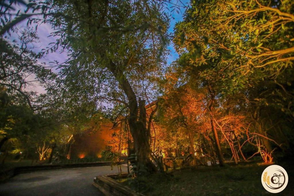Aswadduma Hotel Дамбулла Экстерьер фото